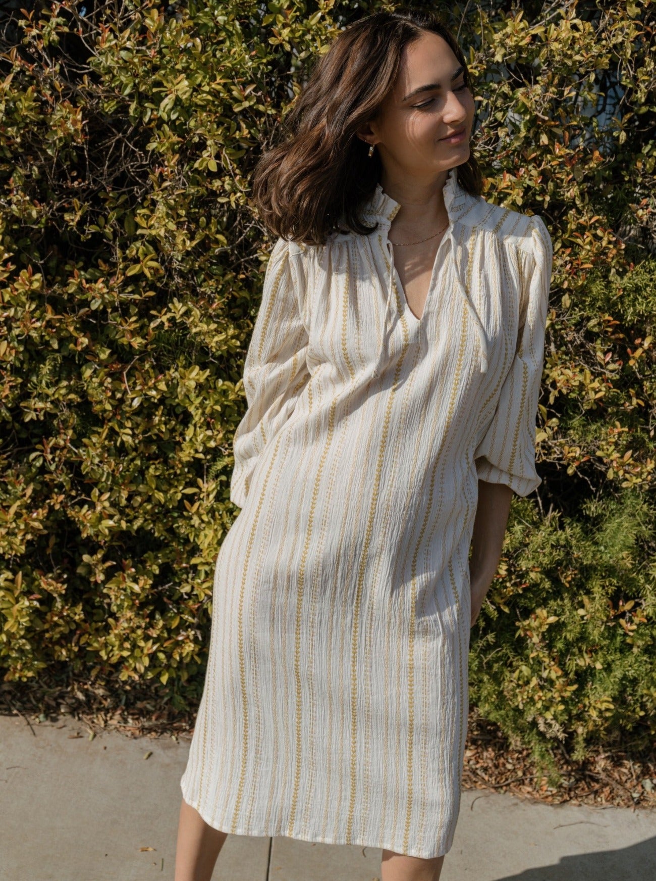 goldenrod brett dress unbelted