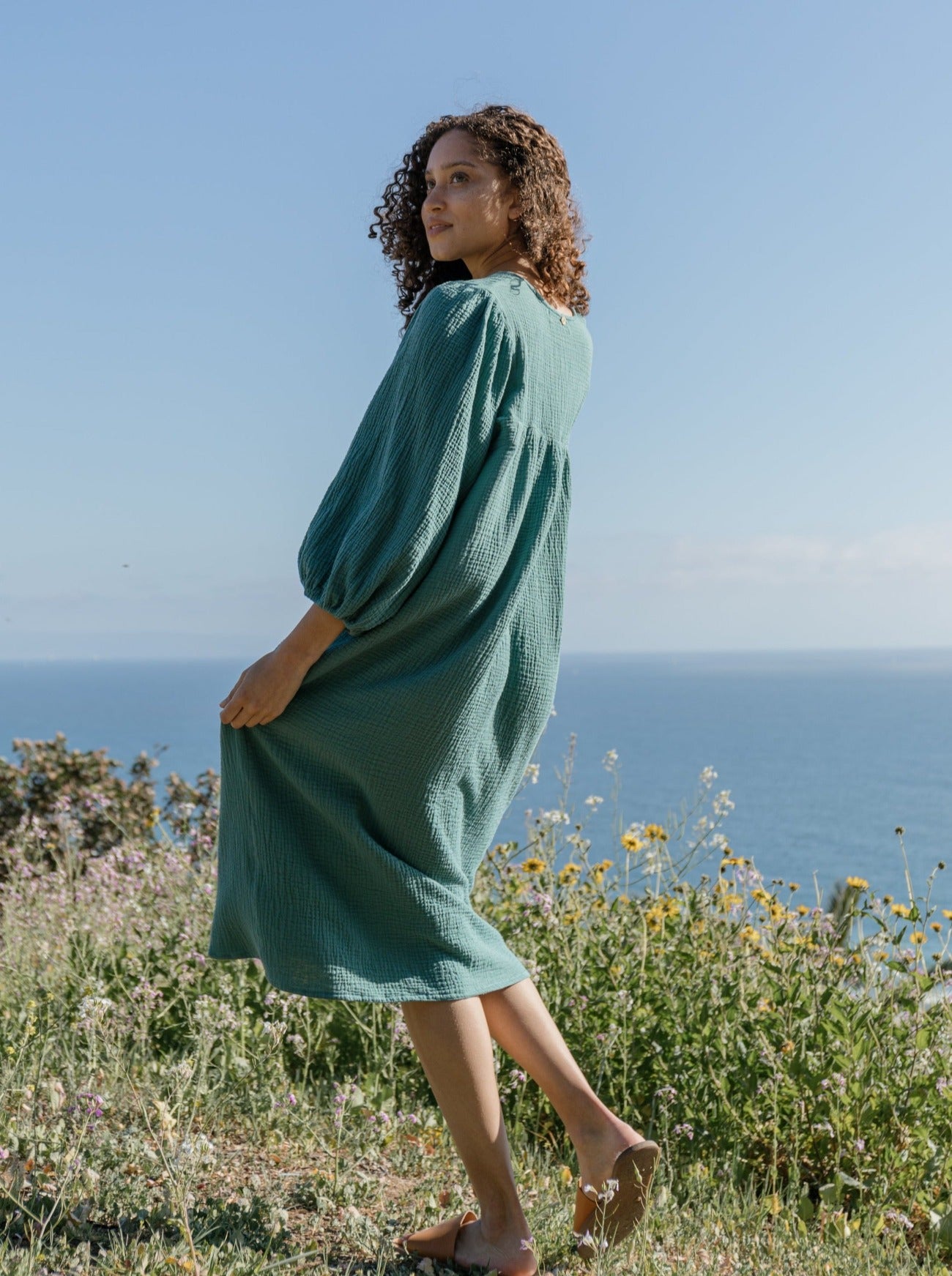 ivy paloma dress