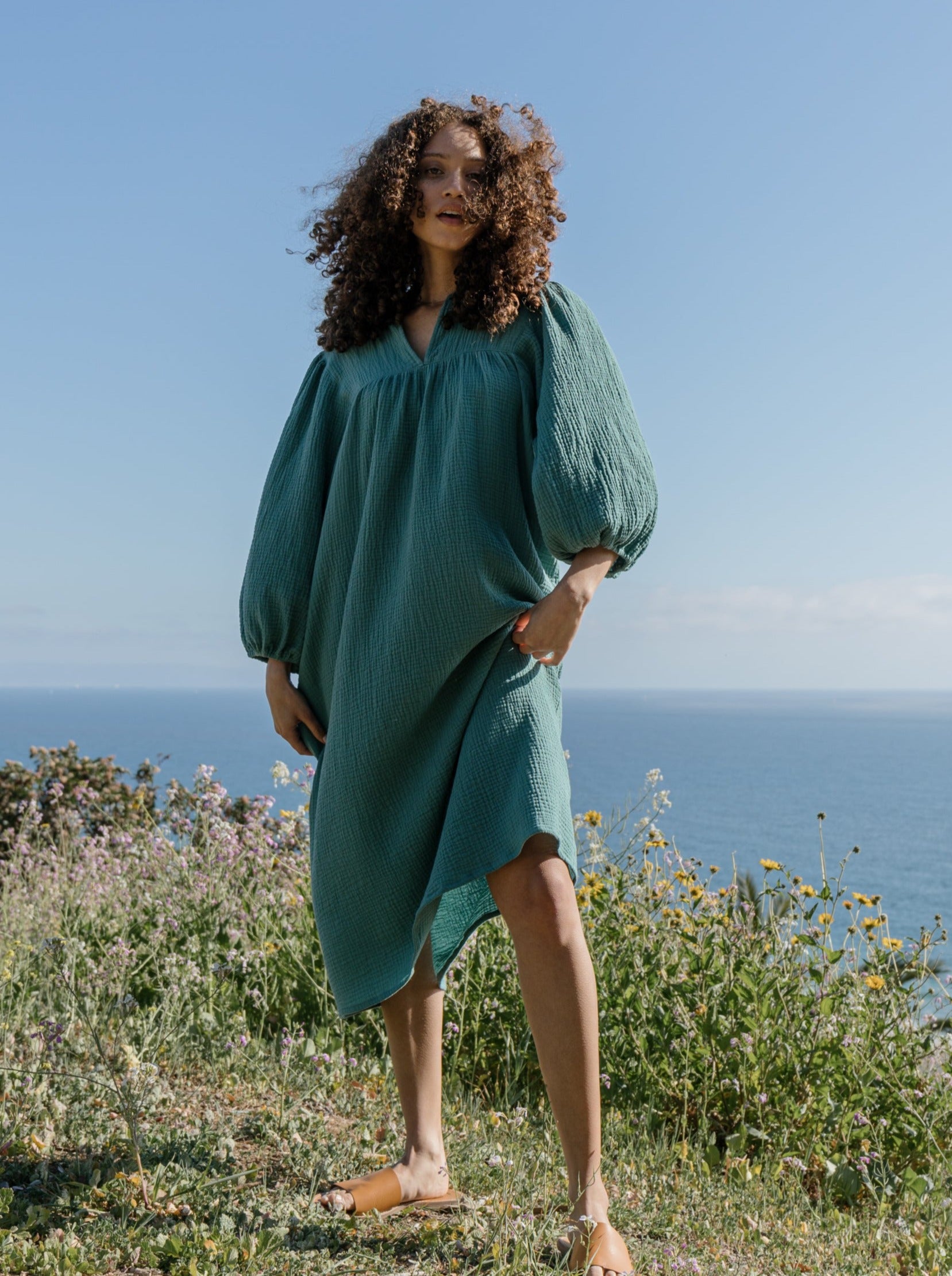 ivy paloma dress