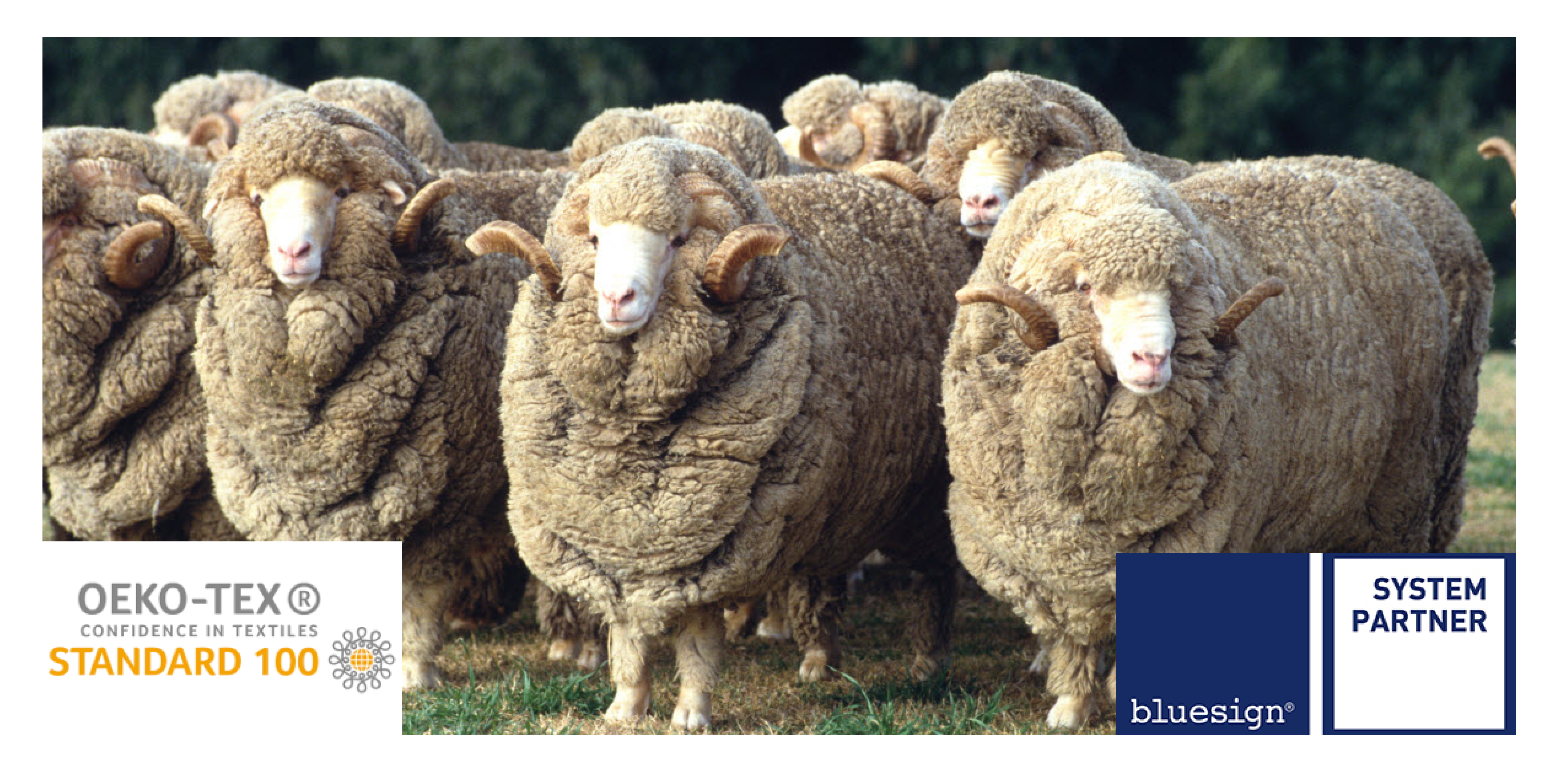 bluesign certified merino wool made in italy